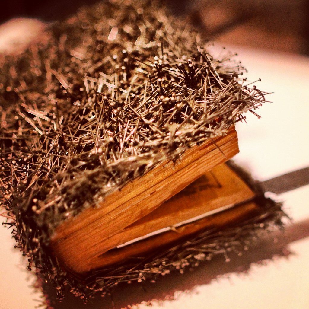 这书……还是看外表算了