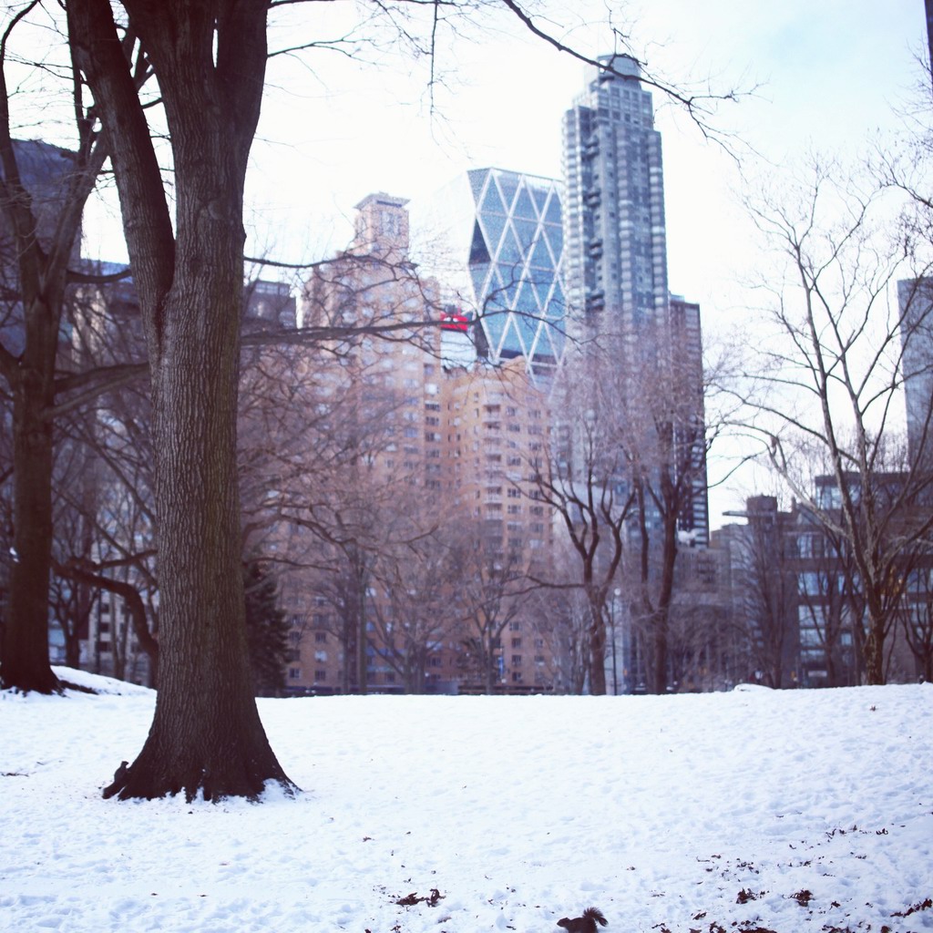 这里就是众多美剧的外景地,中央公园