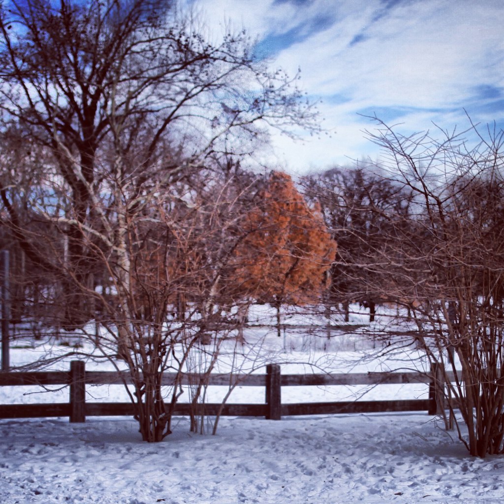 雪停了,太阳出来了~正点