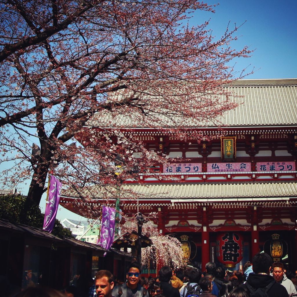 还是浅草寺正门