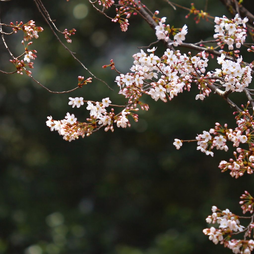 词穷，不知道如何形容了