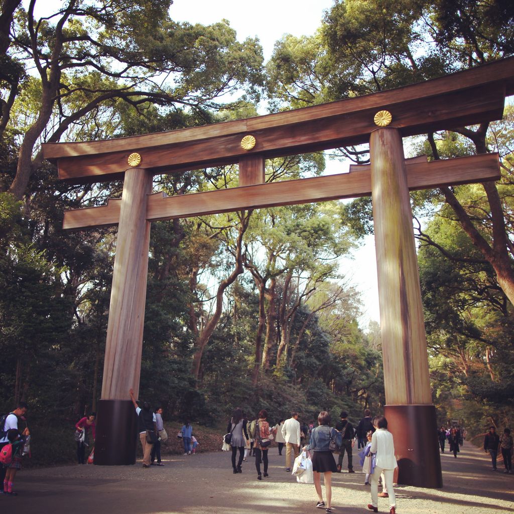 明治神宫门前的大型鸟居