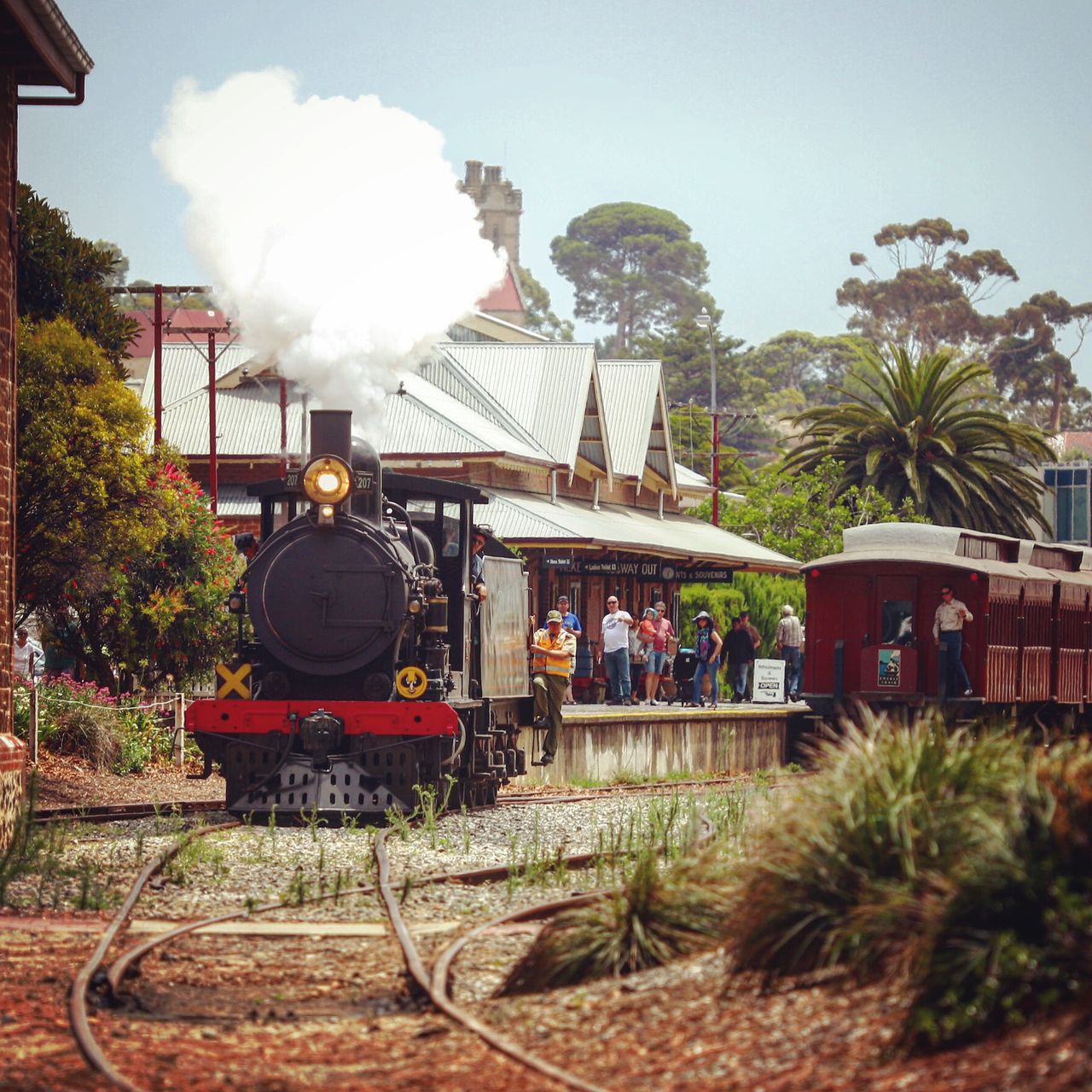 小镇山上居然有古老的蒸汽机车头