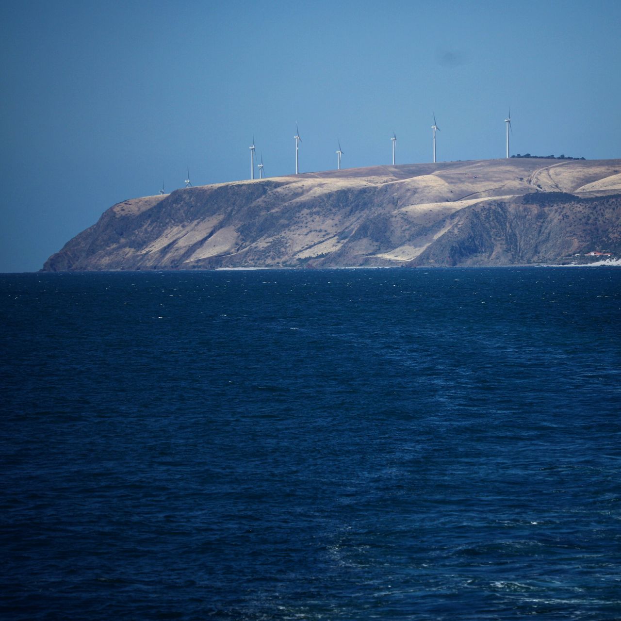 对,已经上船去袋鼠岛的路上了