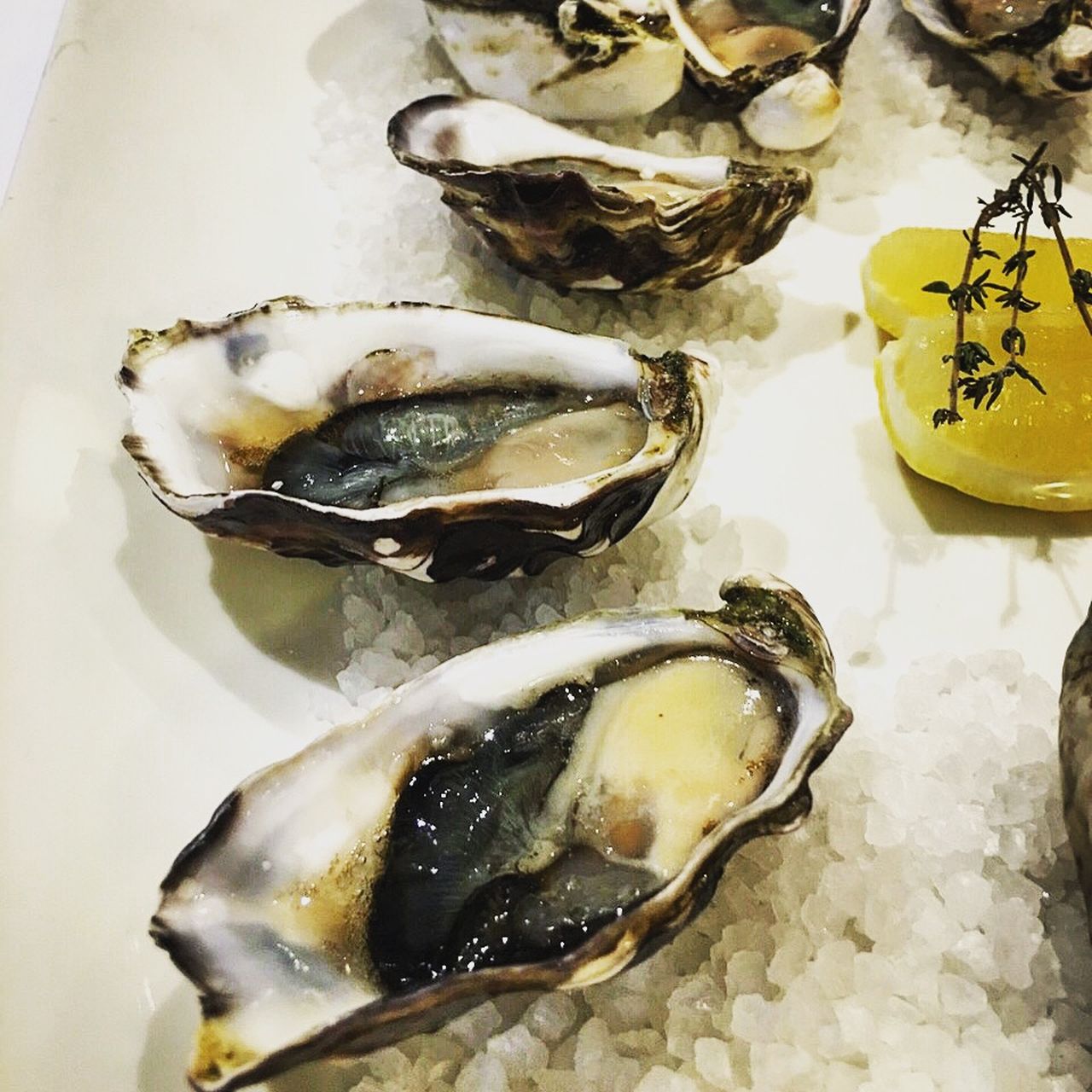 塔斯马尼亚的生蚝也是必须的