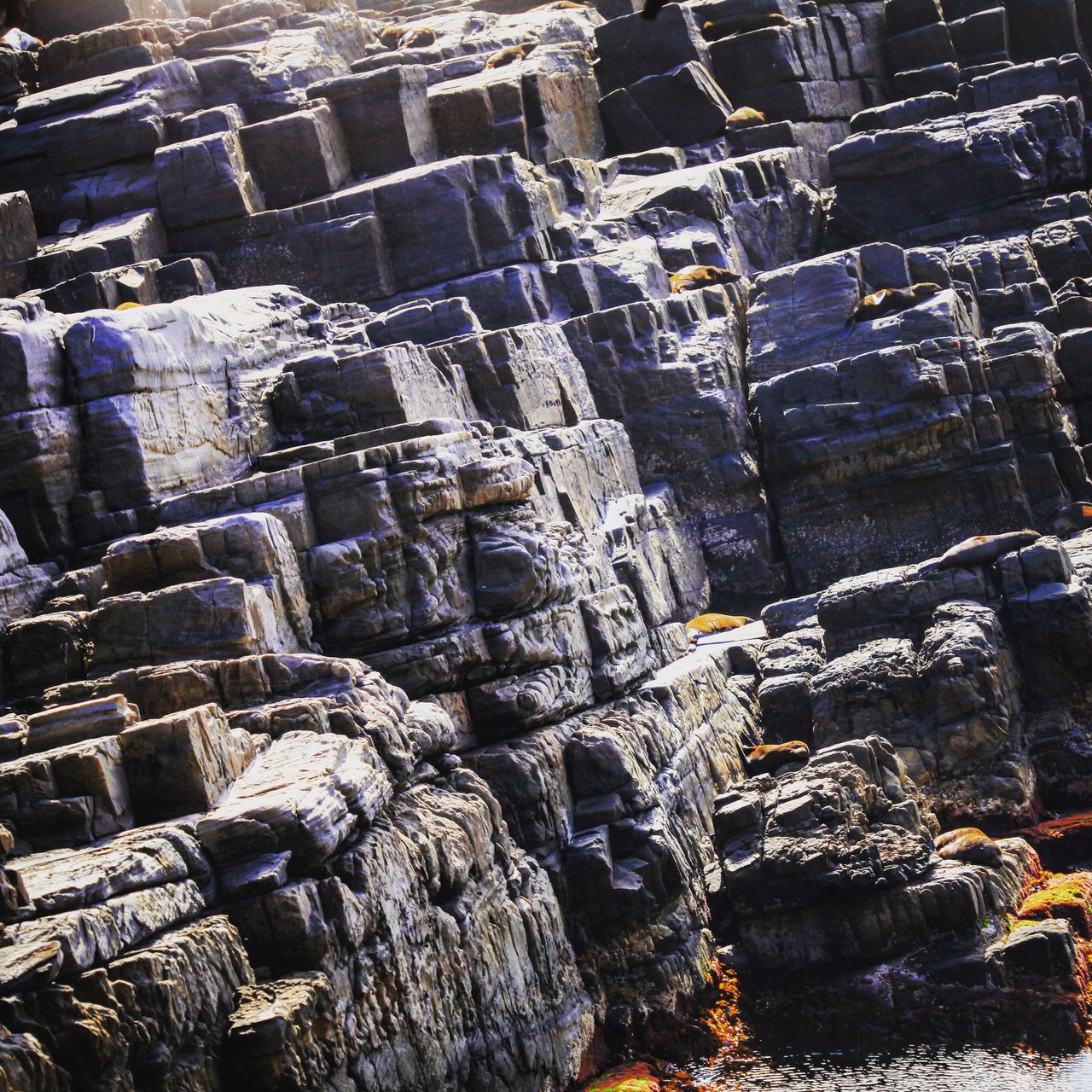 长期经过风化的石滩