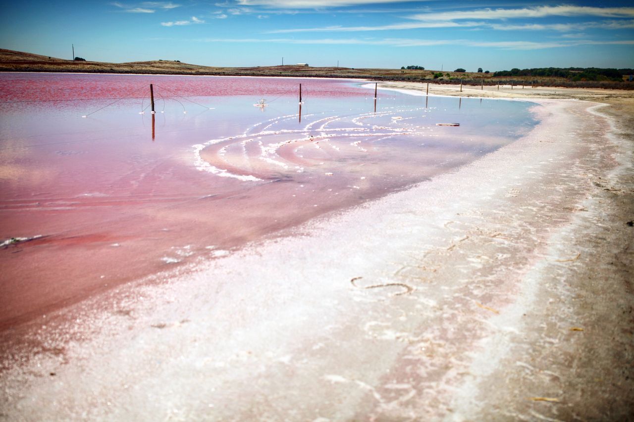 继续看看粉红的盐湖,很少见