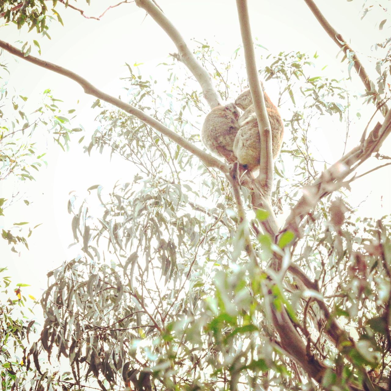 还有一大一小的在享受