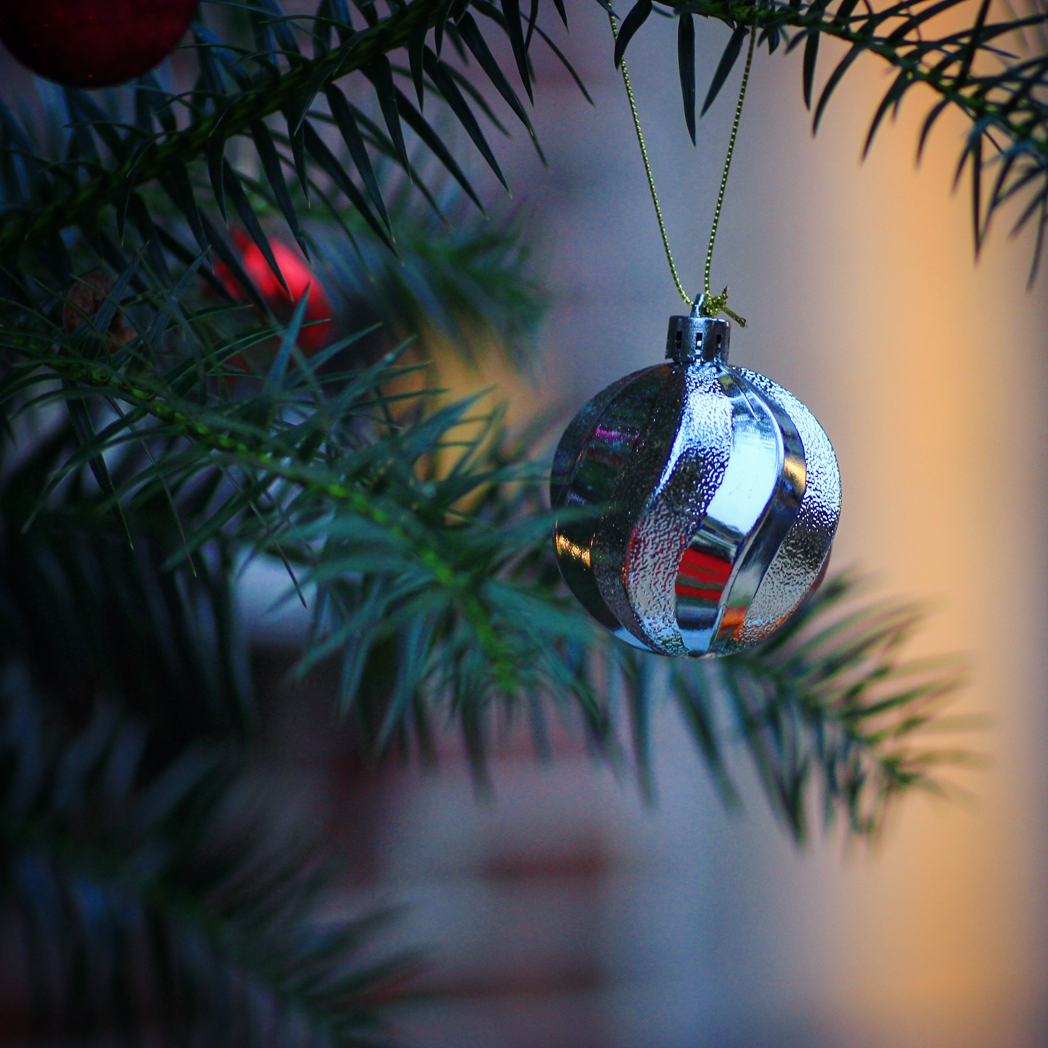 挂在树上的节日彩球