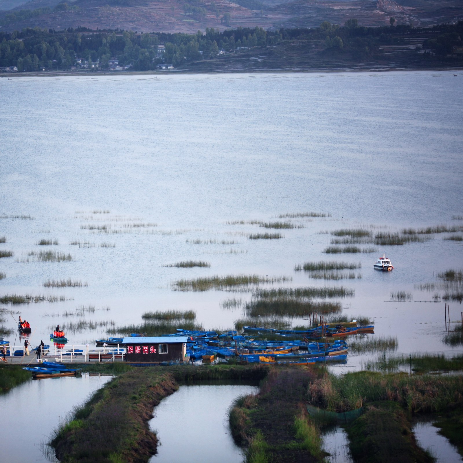草海的第一眼,可能来得不是季节,只见到了海,没见几颗草