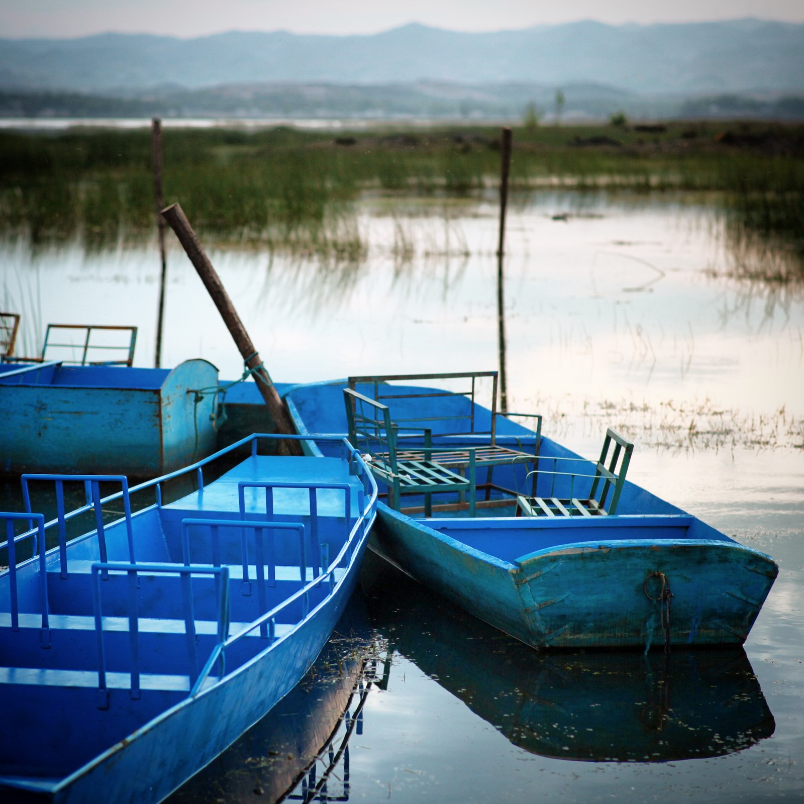 算了,我还是冷静的继续拍游船吧
