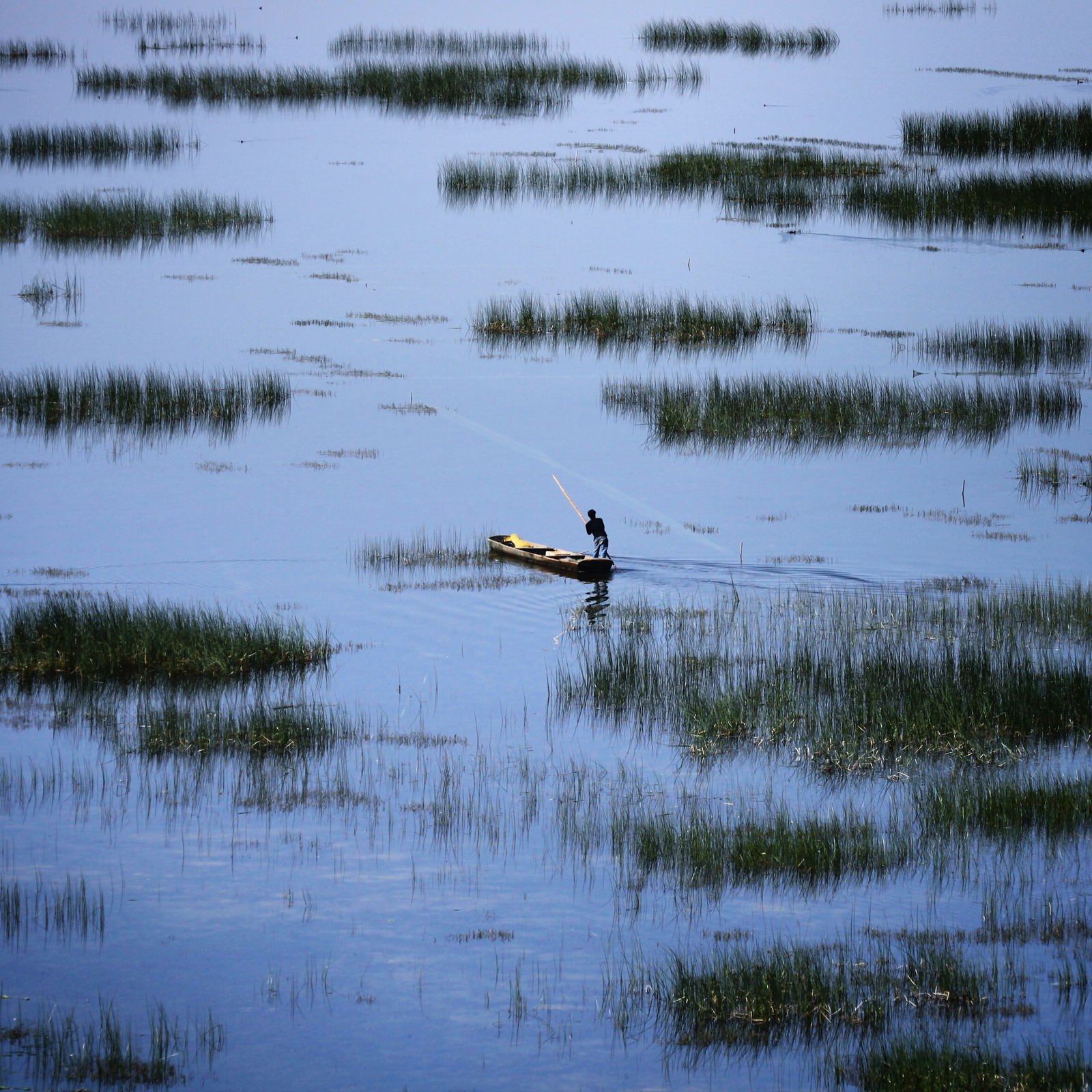 张张看上去都差不多,但事实上又有不同