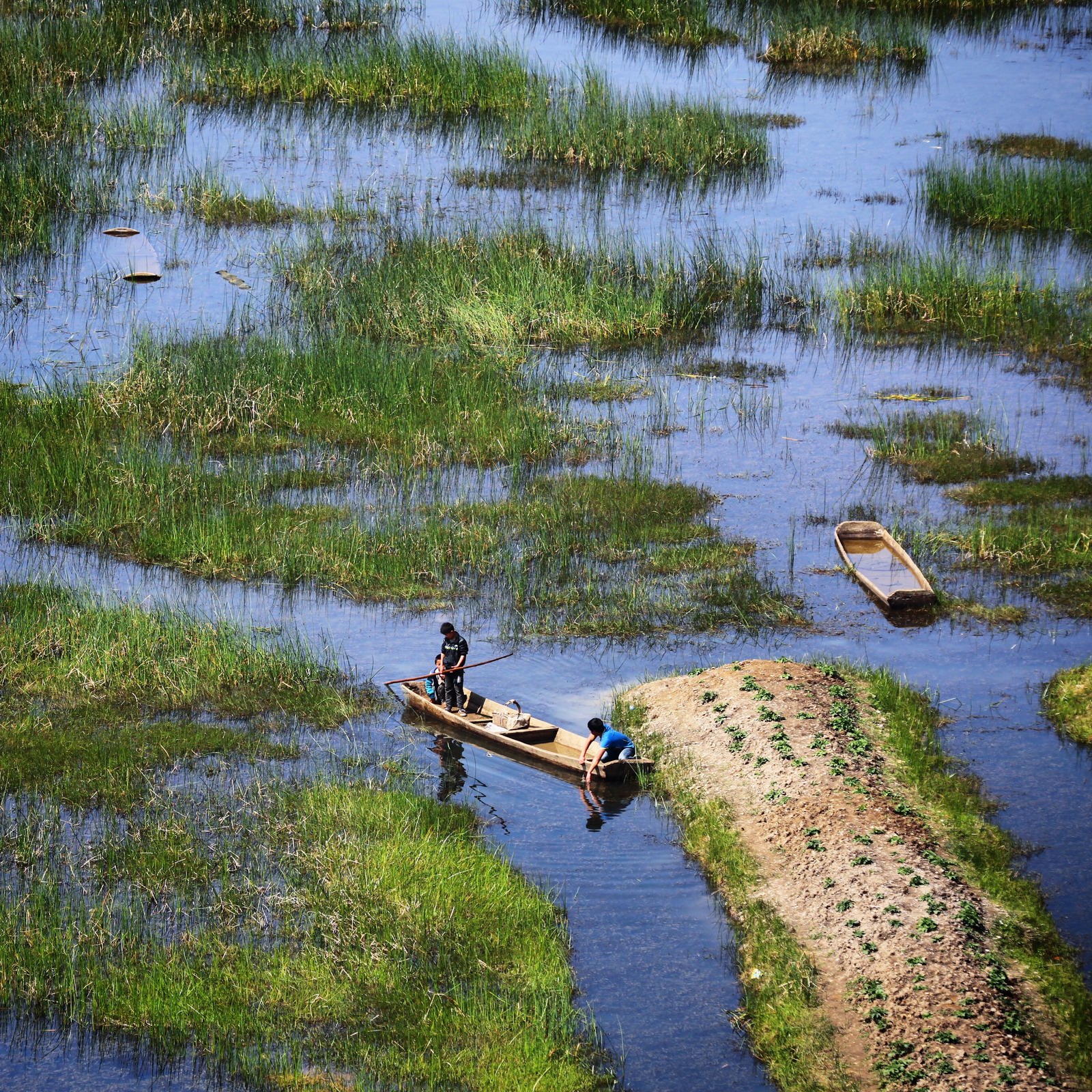 阳光出来了~~蓝色海,绿色的草~~正点啊