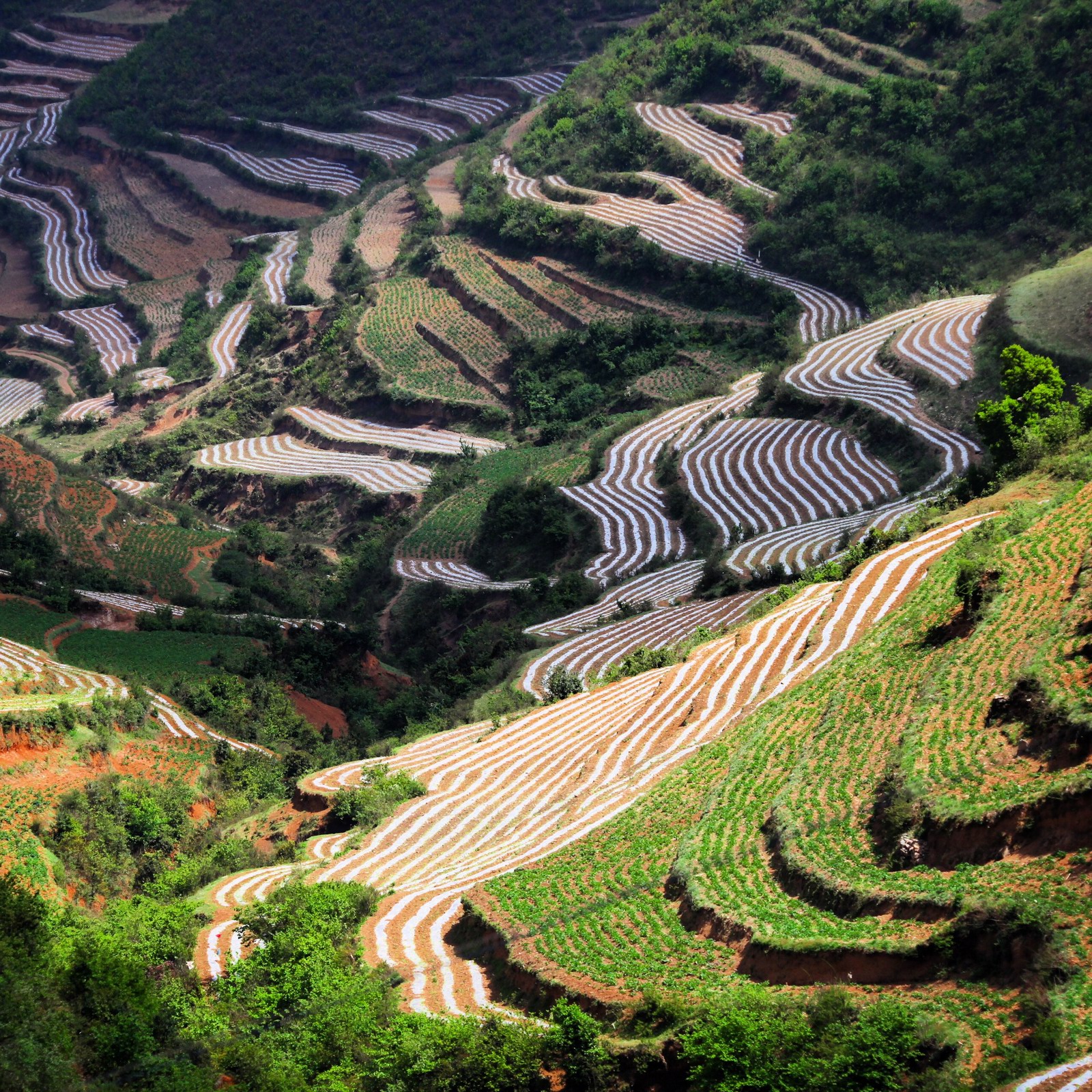 马摆大山位于贵州省威宁彝族回族苗族自治县麻乍乡境内,距县城40公里,主峰海拔2763米,山顶平缓,东西宽5.8公 里,南北长7公里,面积约40平方公里。