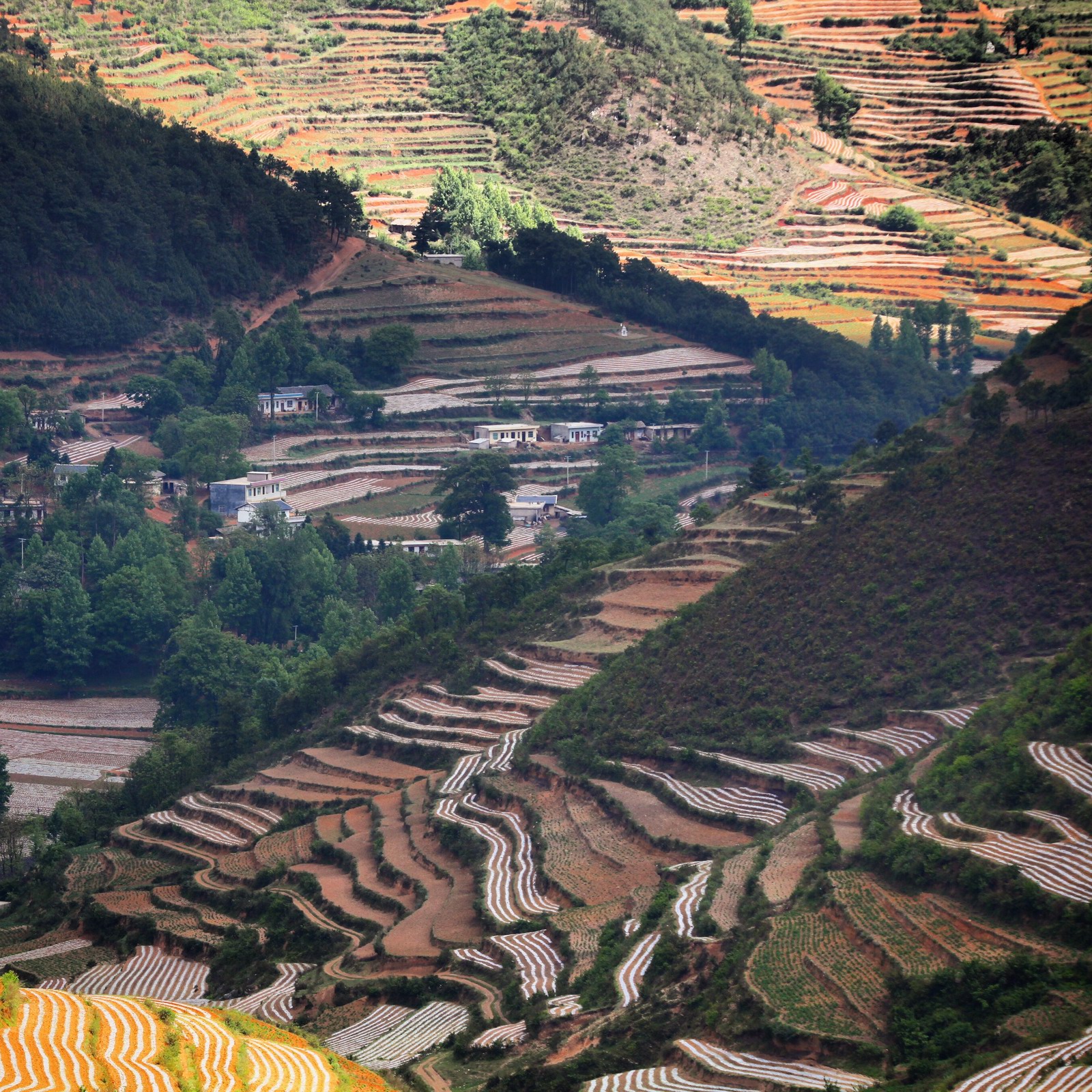 马摆大山风光奇异独特,是一座具有复合型景观的高山大草原。大山上有草坪、草坡、山梁、峡谷、海子等风光。