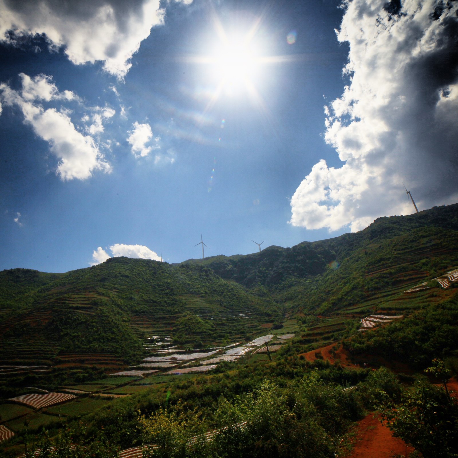 给力的阳光,差点没给晒死