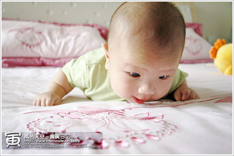 别人都说俯卧撑是好东西，我也来做做吧