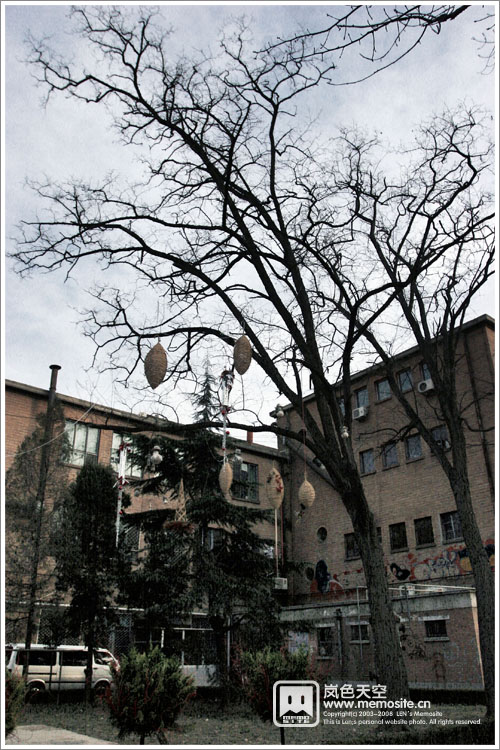 很有特色的挂饰