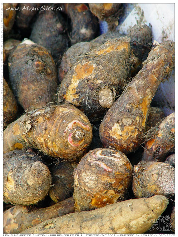 帽峰山下的杂食