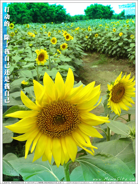 打动的，除了我自己，还是我自己