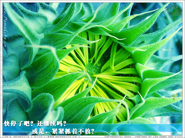 快停了吧？还继续吗？或是紧紧抓着不放？