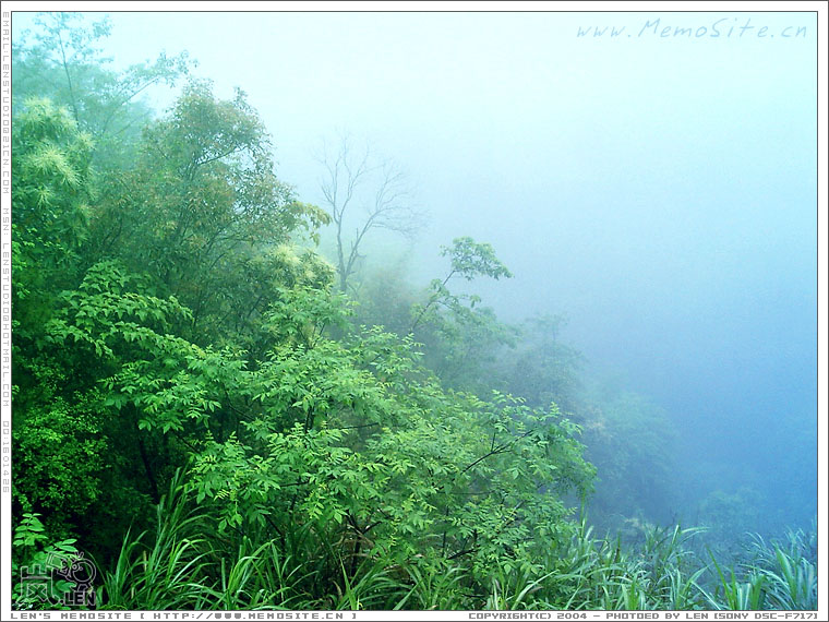 龙脊梯田之旅·平安寨