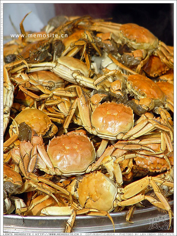 这些稍微逊色一些，满满的放了好几盘。