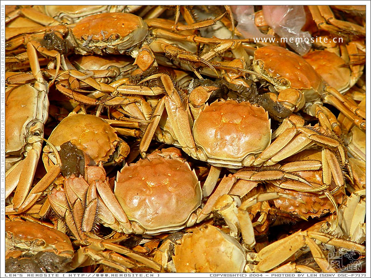 看的人多吃的人少，估计这几盘东西放了一整天，也不见得鲜味的去哪里了。