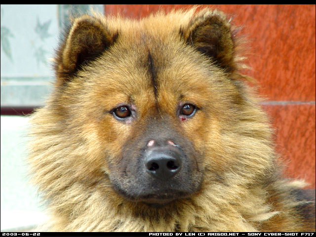 小谷围外拍 -风景篇